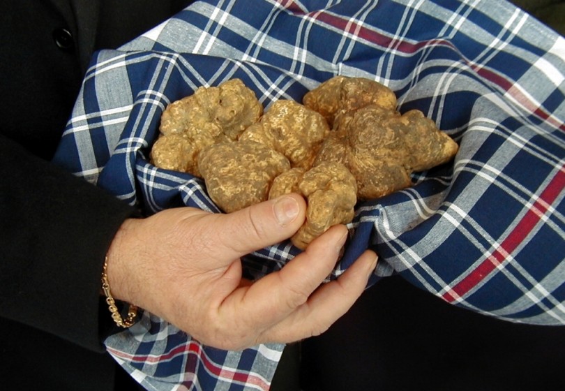 Valenza e Moncalvo verso il 